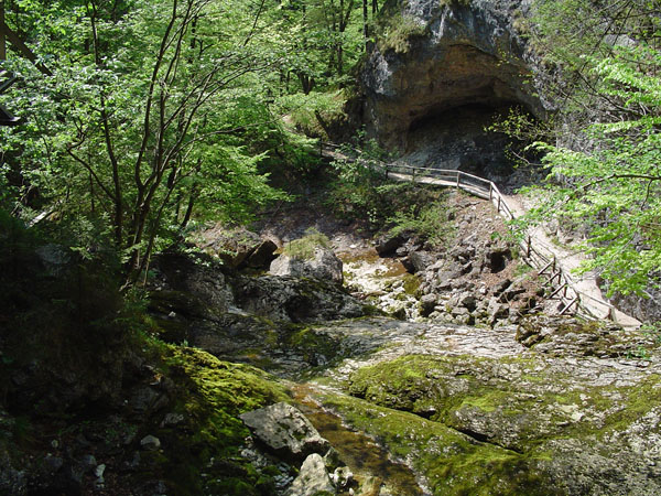13 Prochazka
